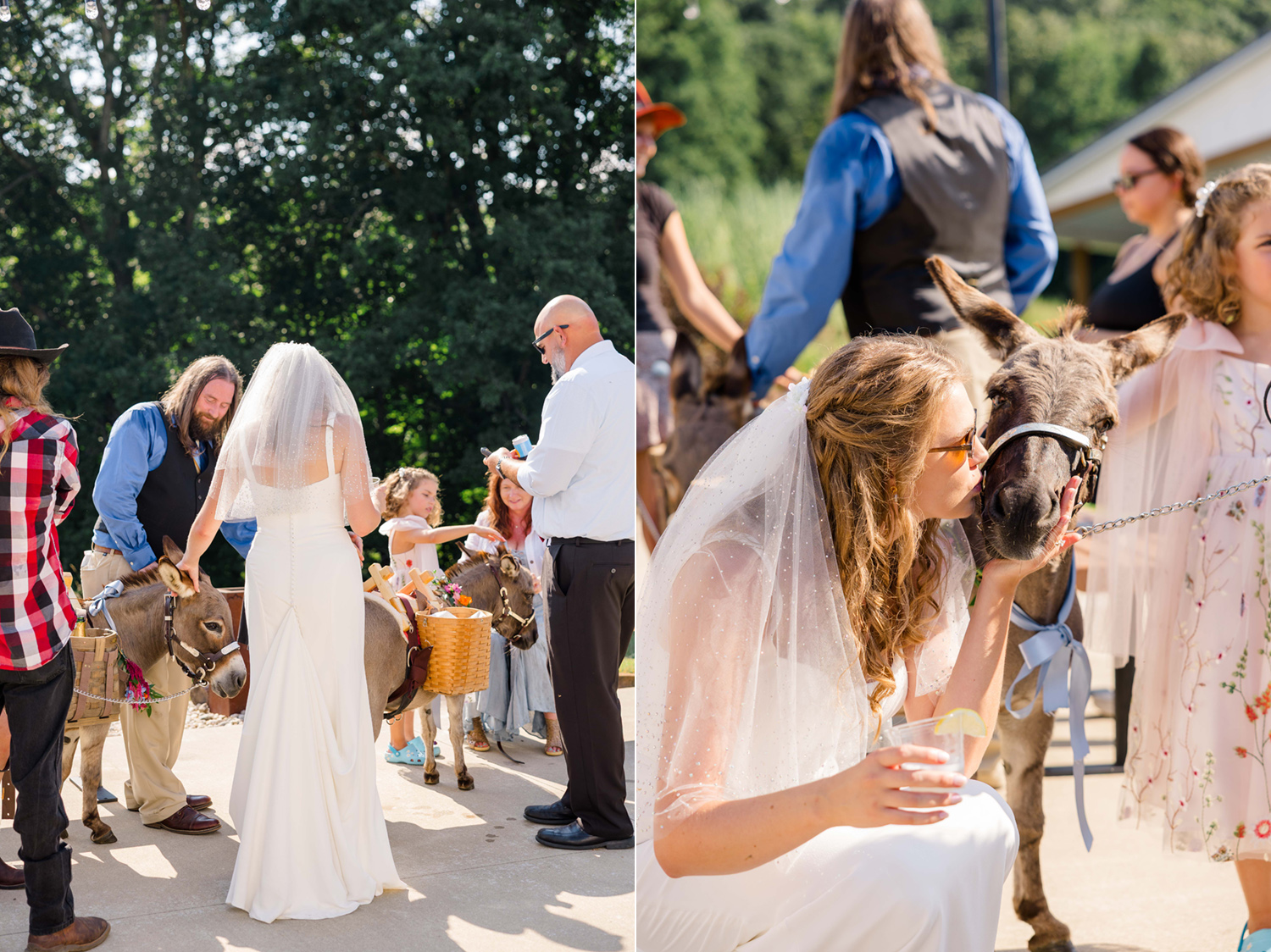Figgs The Wilds Colorful Wedding