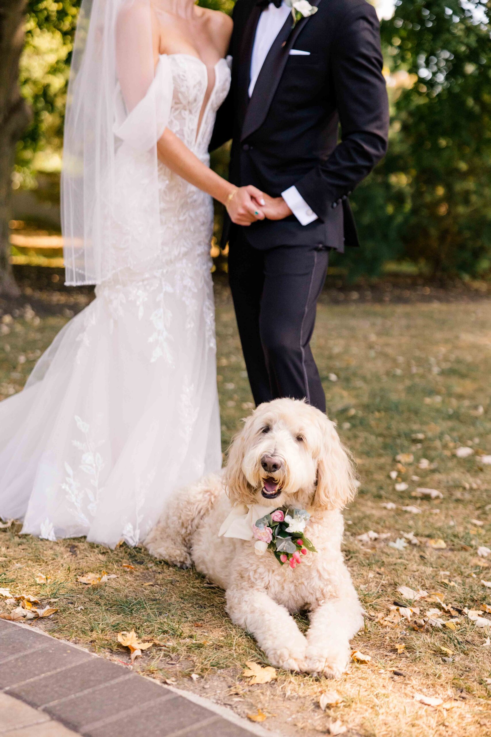 Molly Krishna Mustard Seed Gardens Wedding
