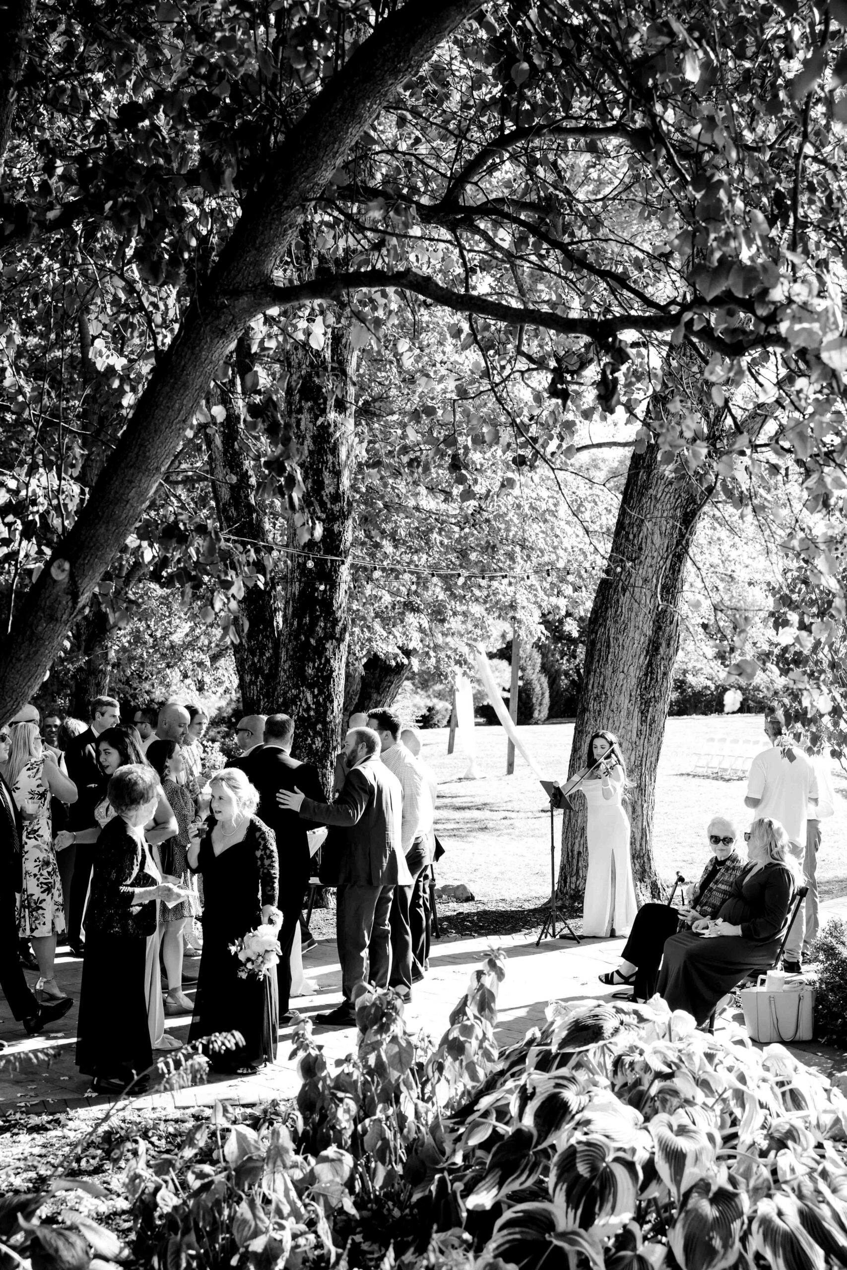 Molly Krishna Mustard Seed Gardens Wedding